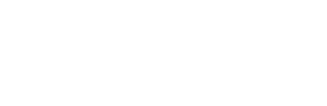 EVSKY DRONE SHOW